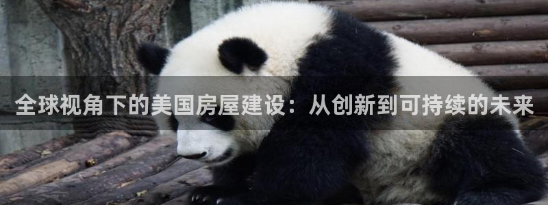 安信12级灯牌：全球视角下的美国房屋建设：从创新到可持续的未来