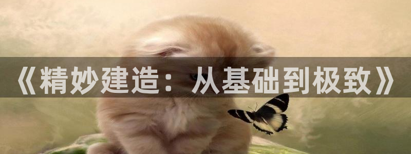 安信12是正规平台吗：《精妙建造：从基础到极致》