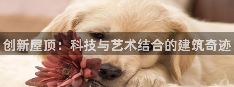 安信信托12 期：创新屋顶：科技与艺术结合的建筑奇迹