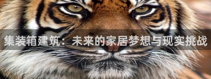 安信12娱乐7o777还：集装箱建筑：未来的家居梦想与现实挑战