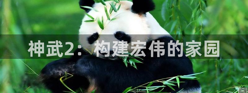 安信12正版下载