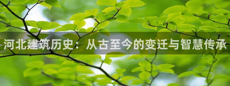 安信12app：河北建筑历史：从古至今的变迁与智慧传承
