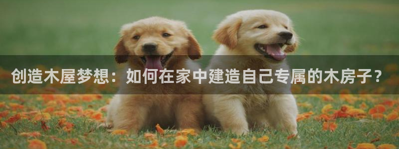 安信12周年庆典：创造木屋梦想：如何在家中建造自己专属的木房子？