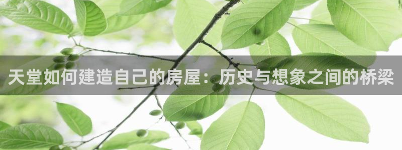 安信可12f12e：天堂如何建造自己的房屋：历史与想象之间的桥梁