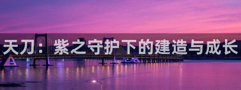 信安杯12：天刀：紫之守护下的建造与成长