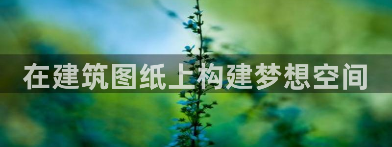 安信12平台开户：在建筑图纸上构建梦想空间