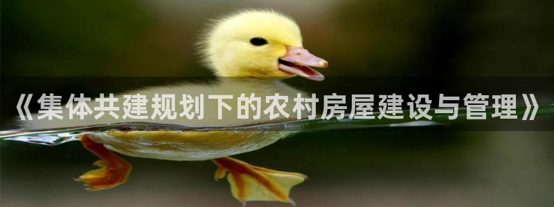 安信12app下载：《集体共建规划下的农村房屋建设与管理》