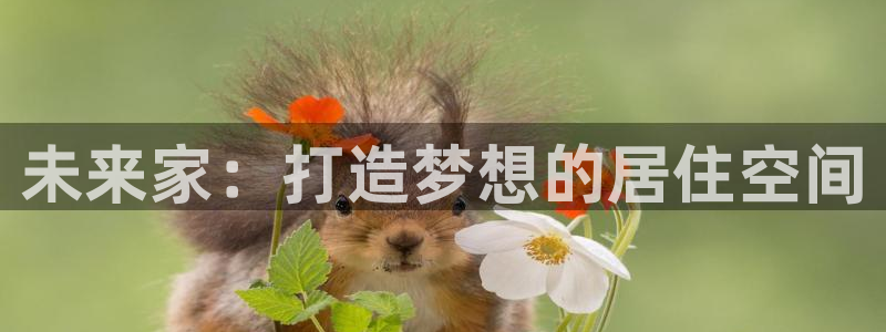 安信12娱乐主管：未来家：打造梦想的居住空间