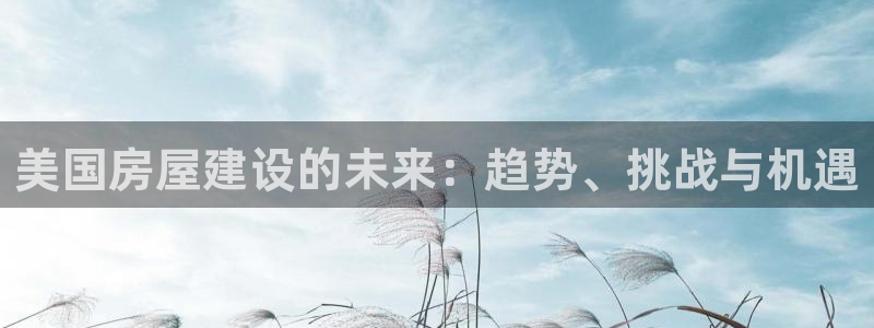 安信12想开户：美国房屋建设的未来：趋势、挑战与机遇