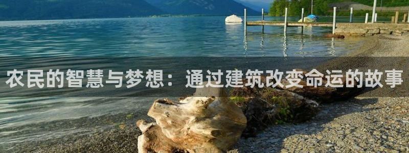 安信安翼 12账号：农民的智慧与梦想：通过建筑改变命运的故事