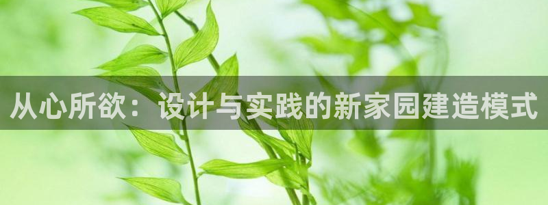 安信12位数资金号：从心所欲：设计与实践的新家园建造模式