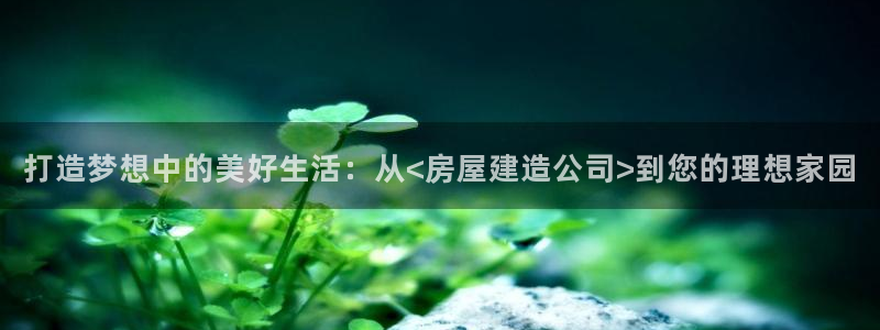 安信12娱乐代理：打造梦想中的美好生活：从<房屋建造公司>到您的理想家园