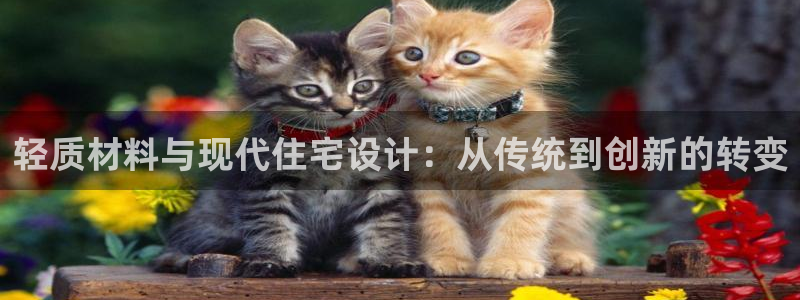 信安12：轻质材料与现代住宅设计：从传统到创新的转变