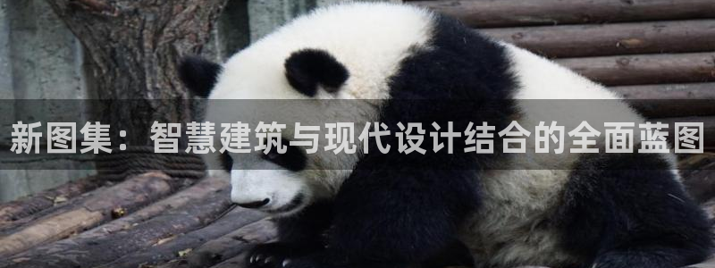 安信12登录网址：新图集：智慧建筑与现代设计结合的全面蓝图